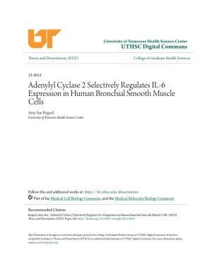 Adenylyl Cyclase 2 Selectively Regulates IL-6 Expression in Human Bronchial Smooth Muscle Cells Amy Sue Bogard University of Tennessee Health Science Center