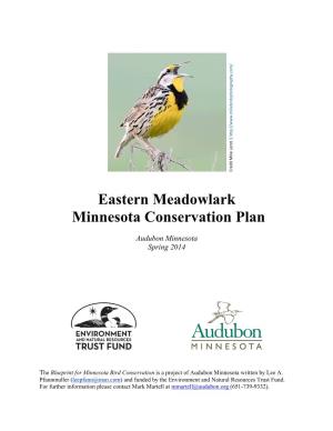 Eastern Meadowlark Minnesota Conservation Plan