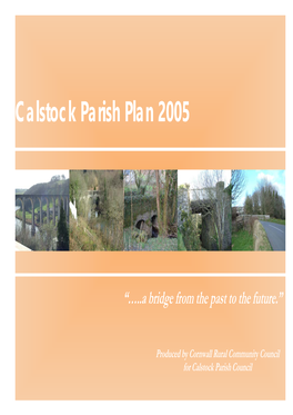 Calstock Parish Plan 2005