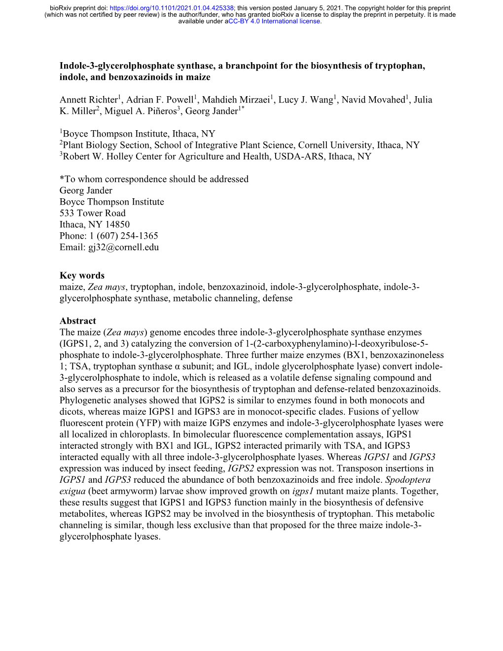 Indole-3-Glycerolphosphate Synthase, a Branchpoint for the Biosynthesis of Tryptophan, Indole, and Benzoxazinoids in Maize