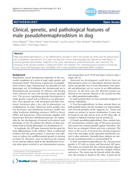 Clinical, Genetic, and Pathological Features of Male