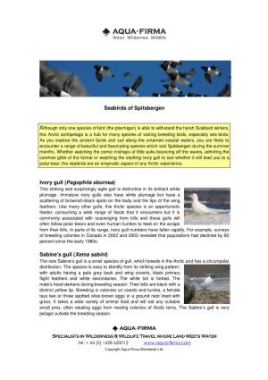 Seabirds of Spitsbergen Ivory Gull (Pagophila Eburnea) Sabine's Gull