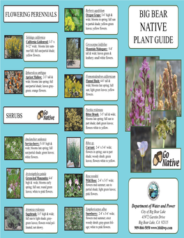 Big Bear Native Plant Guide