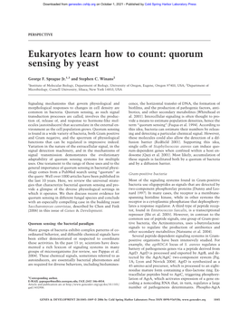 Quorum Sensing by Yeast