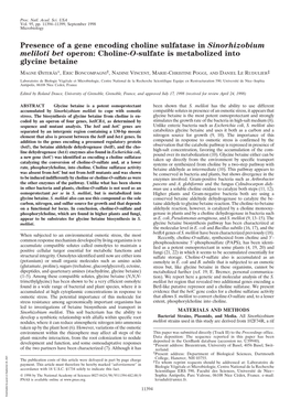 Presence of a Gene Encoding Choline Sulfatase in Sinorhizobium Meliloti Bet Operon: Choline-O-Sulfate Is Metabolized Into Glycine Betaine