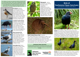 Birds at Tawharanui Open Sanctuary