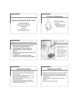 Jeanine D'armiento, M.D., Ph.D. Function of Breathing Conducting