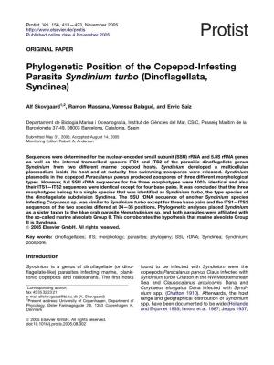 Phylogenetic Position of the Copepod-Infesting Parasite Syndinium Turbo (Dinoﬂagellata, Syndinea)