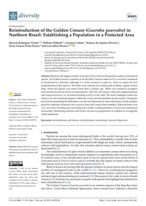 Reintroduction of the Golden Conure (Guaruba Guarouba) in Northern Brazil: Establishing a Population in a Protected Area