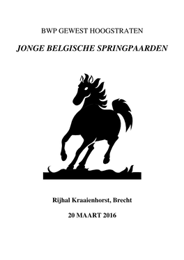 Jonge Belgische Springpaarden