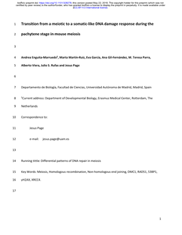 Transition from a Meiotic to a Somatic-Like DNA Damage Response During The