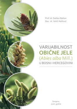 Varijabilnost Obicne Jele (Abies Alba Mill.)