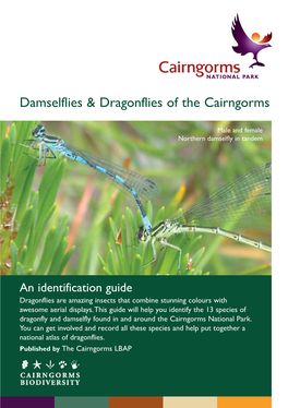 Damselflies & Dragonflies of the Cairngorms