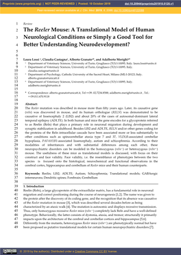 The Reeler Mouse: a Translational Model of Human 3 Neurological Conditions Or Simply a Good Tool for 4 Better Understanding Neurodevelopment?