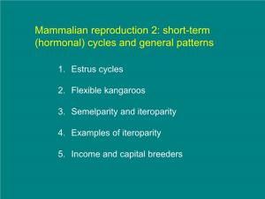 Mammalian Reproduction 2: Short-Term (Hormonal) Cycles and General Patterns
