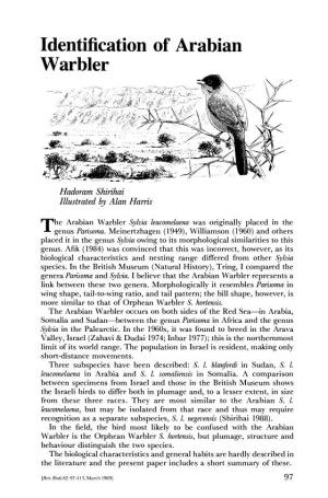 Identification of Arabian Warbler