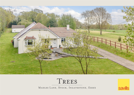 Madles Lane, Stock, Ingatestone, Essex Trees