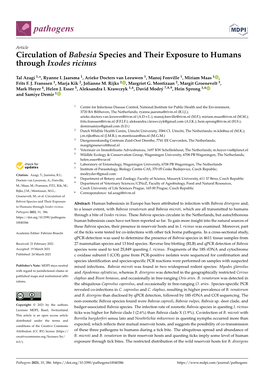 Circulation of Babesia Species and Their Exposure to Humans Through Ixodes Ricinus