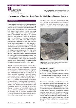 Preservation of Permian Fishes from the Marl Slate of County Durham