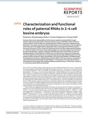 Characterization and Functional Roles of Paternal Rnas in 2–4 Cell Bovine