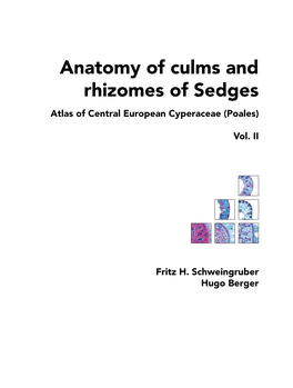 Anatomy of Culms and Rhizomes of Sedges Atlas of Central European Cyperaceae (Poales)