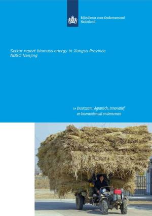 Sector Report Biomass Energy in Jiangsu Province NBSO Nanjing