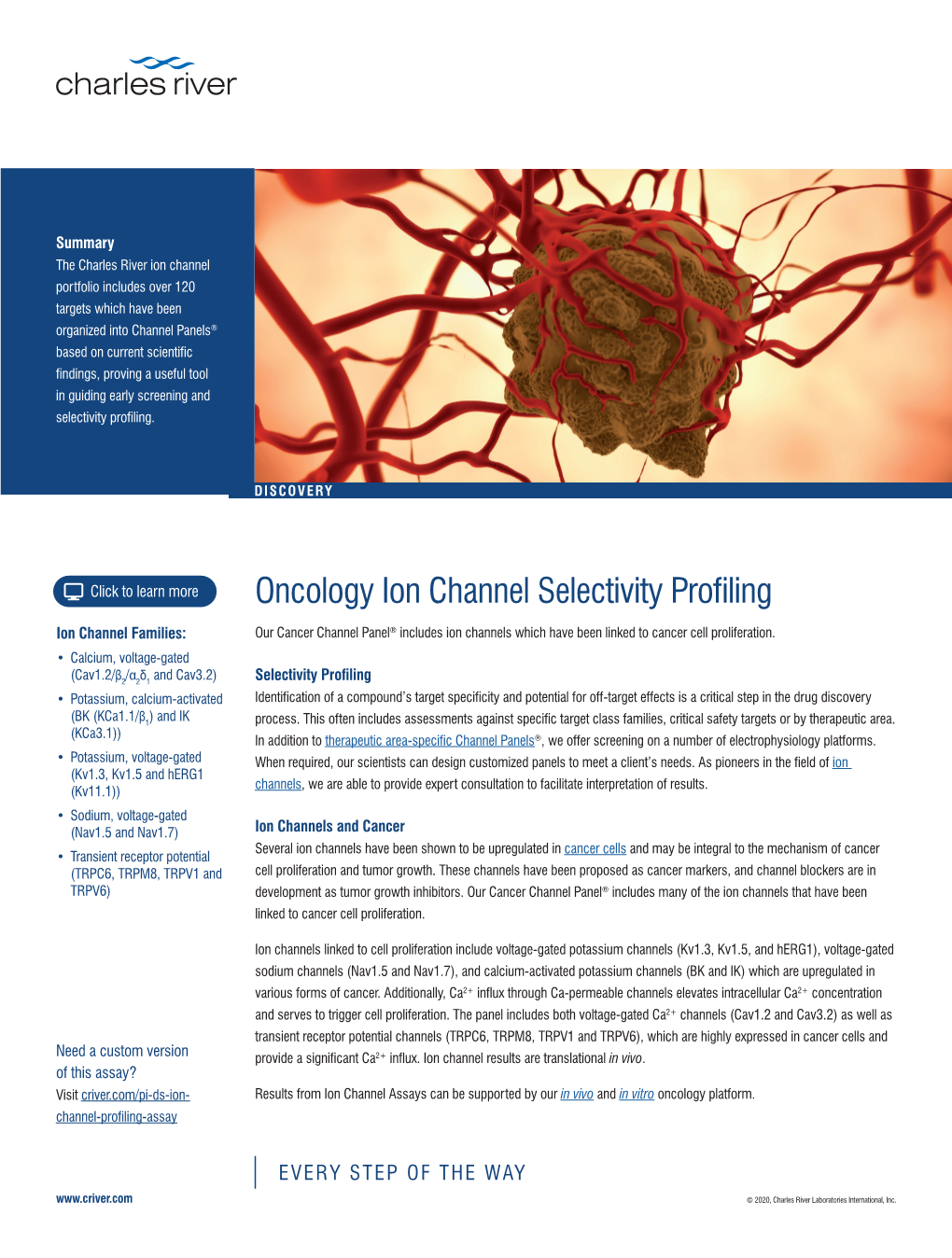 Ion Channel Selectivity Profiling: Oncology | Charles River