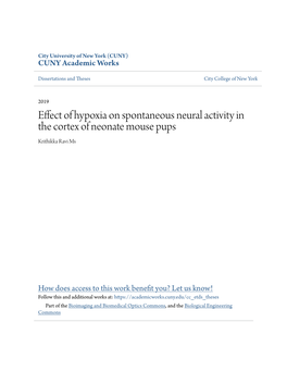 Effect of Hypoxia on Spontaneous Neural Activity in the Cortex of Neonate Mouse Pups Krithikka Ravi Ms