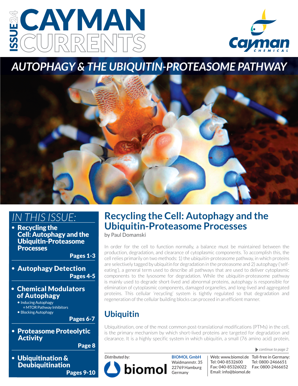 Cayman Issue Autophagy & the Ubiquitin-Proteasome Pathway