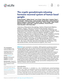 The Cryptic Gonadotropin-Releasing Hormone Neuronal System Of