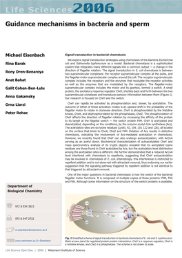 Guidance Mechanisms in Bacteria and Sperm