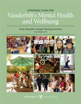 Strategic Plan for Vanderbilt's Mental Health and Wellbeing