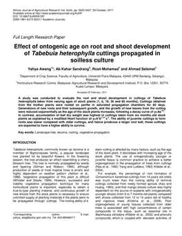 Effect of Ontogenic Age on Root and Shoot Development of Tabebuia Heterophylla Cuttings Propagated in Soilless Culture