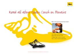 Read All About Queen Conch on Bonaire