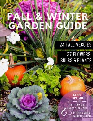 Fall & Winter Garden Guide