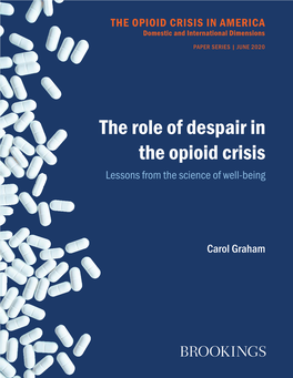 The Role of Despair in the Opioid Crisis Lessons from the Science of Well-Being