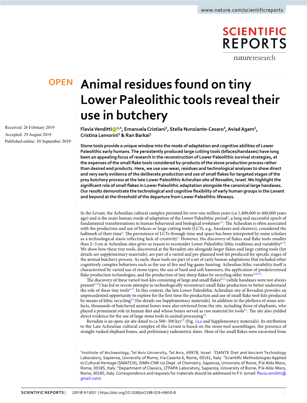 Animal Residues Found on Tiny Lower Paleolithic Tools Reveal Their Use In