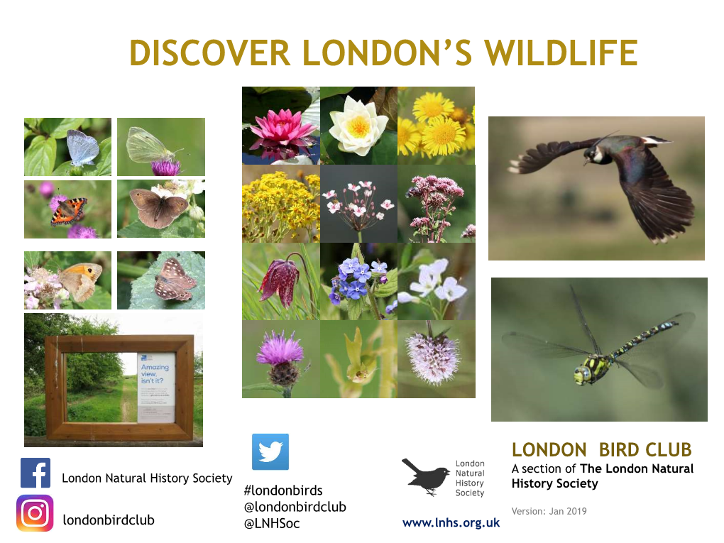 Discover London's Wildlife