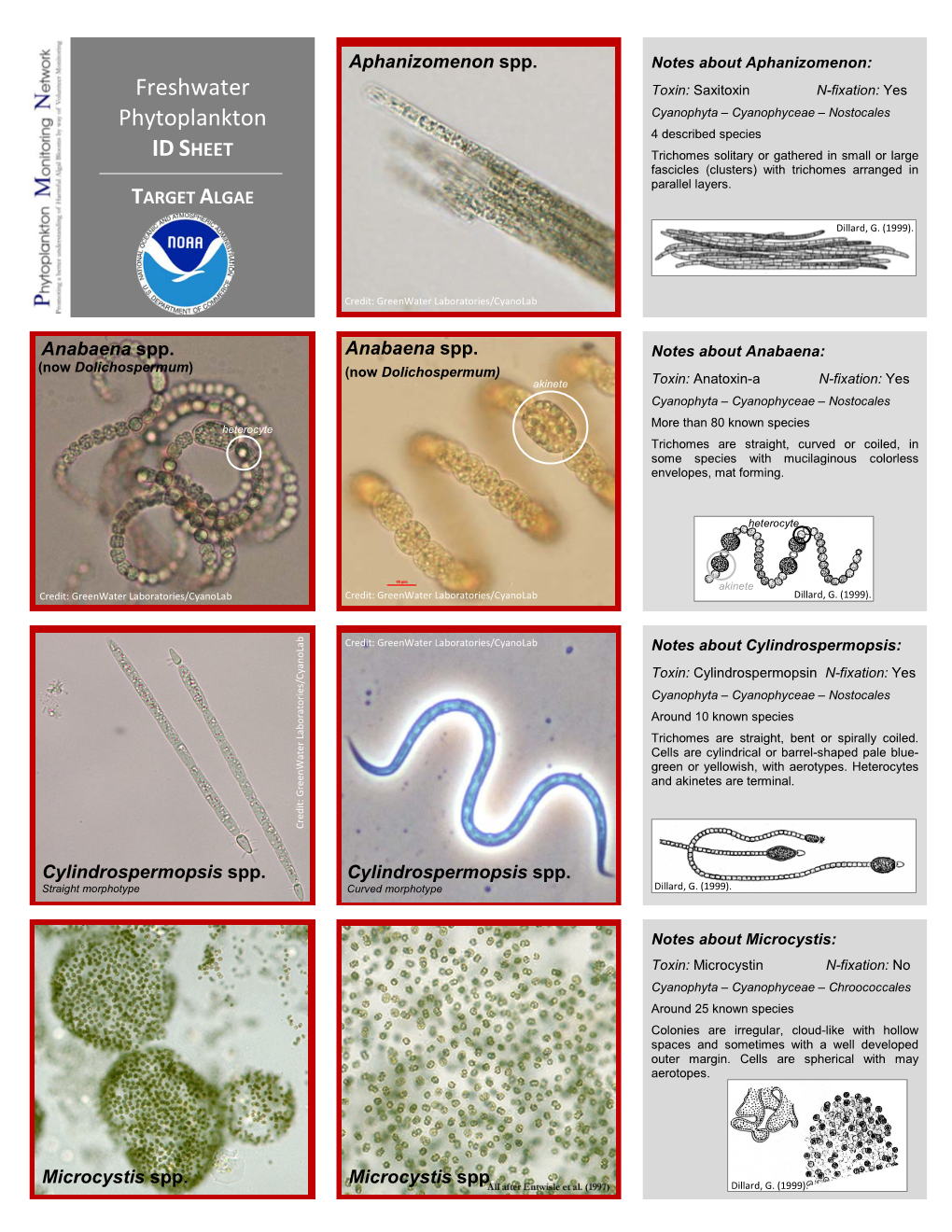 Freshwater Phytoplankton ID SHEET