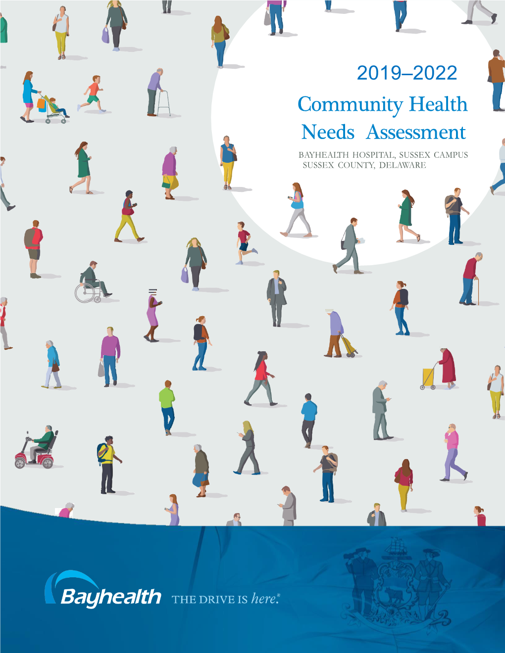 Community Health Needs Assessment Results VII