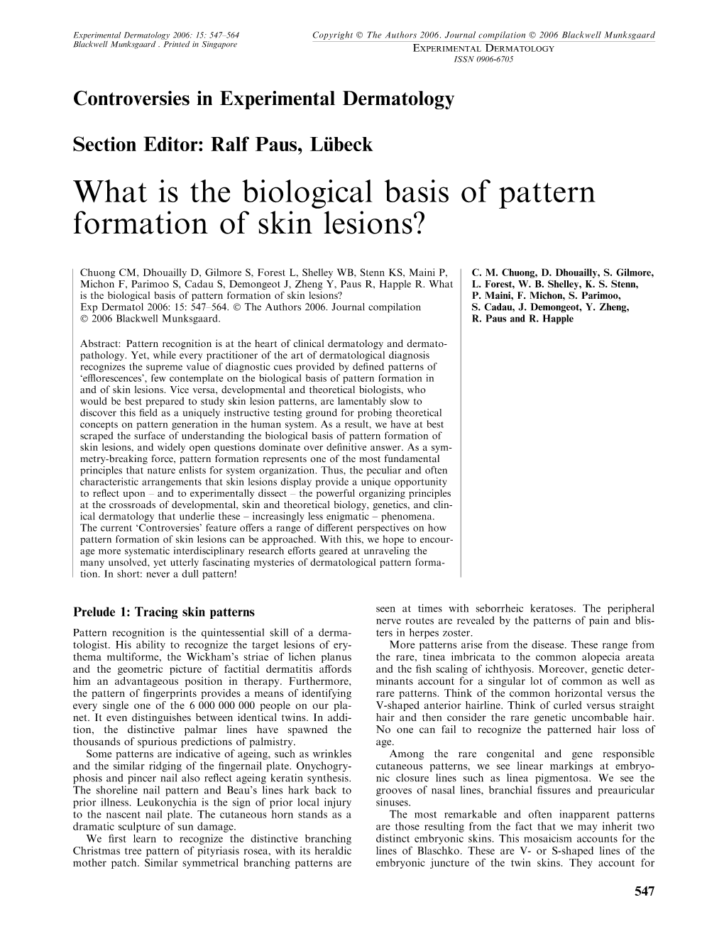 What Is the Biological Basis of Pattern Formation of Skin Lesions?