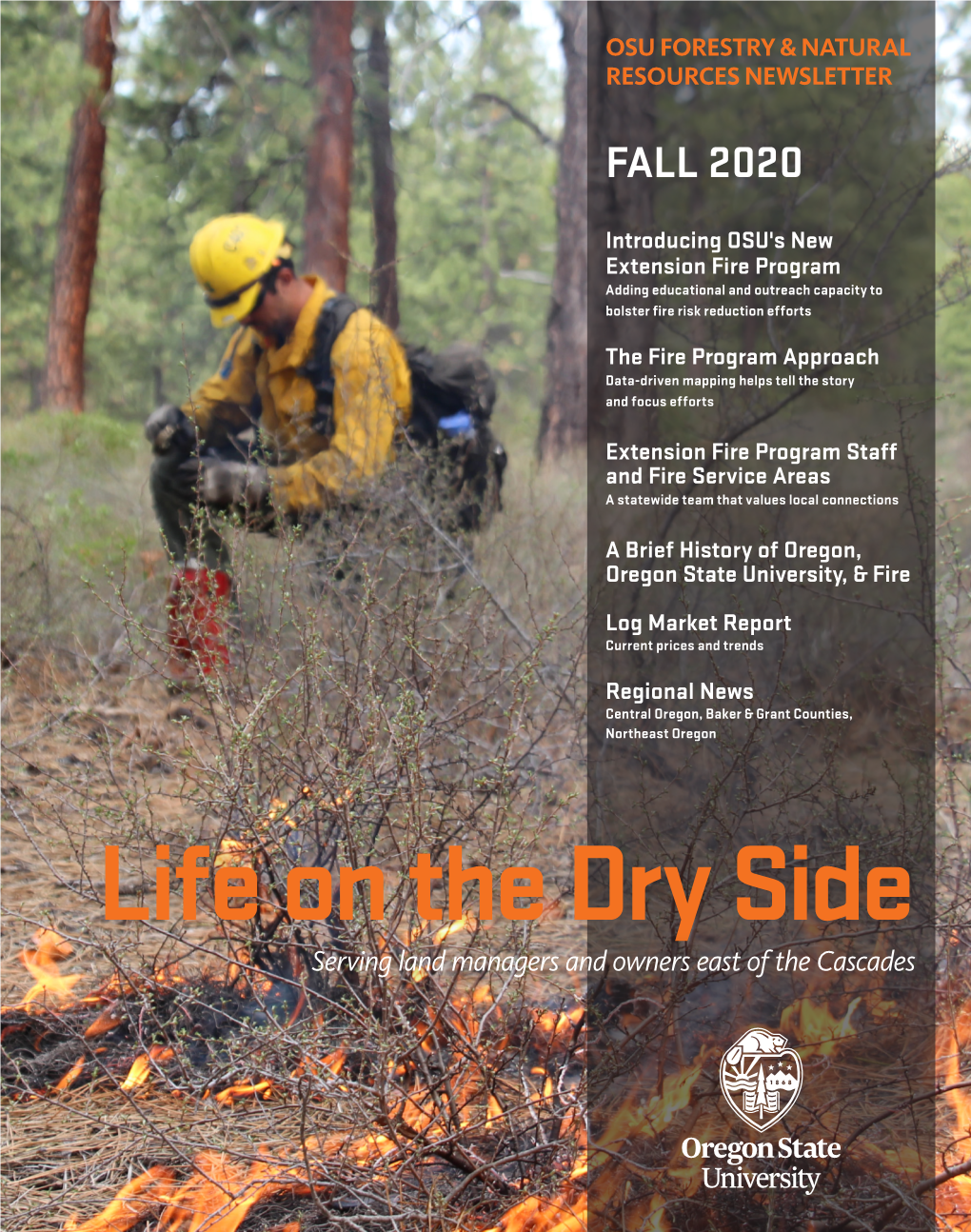 Life on the Dry Side, Fall 2020, PDF Edition