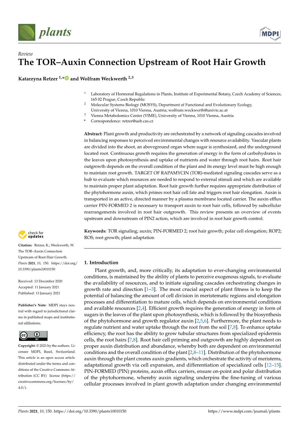 The TOR–Auxin Connection Upstream of Root Hair Growth