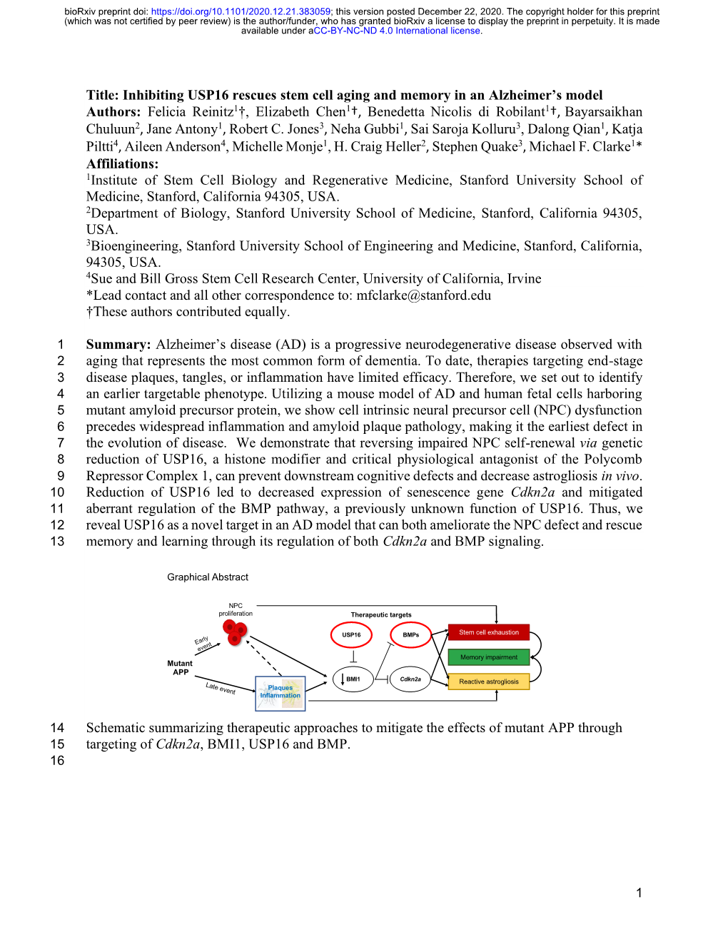 Inhibiting USP16 Rescues Stem Cell Aging and Memory in An