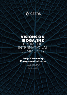Visions on Iboga/Ine from the International Community