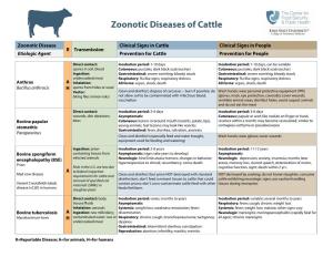Zoonotic Diseases of Cattle