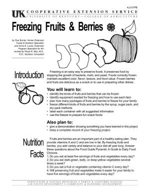 4JJ01PB: Freezing Fruits and Berries