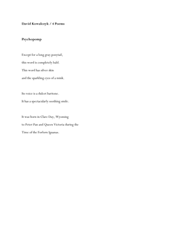 David Kowalczyk / 4 Poems Psychopomp Except for a Long Gray