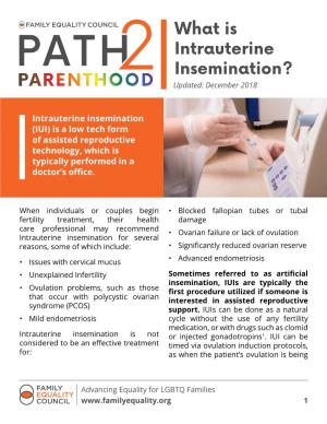 What Is Intrauterine Insemination? Updated: December 2018