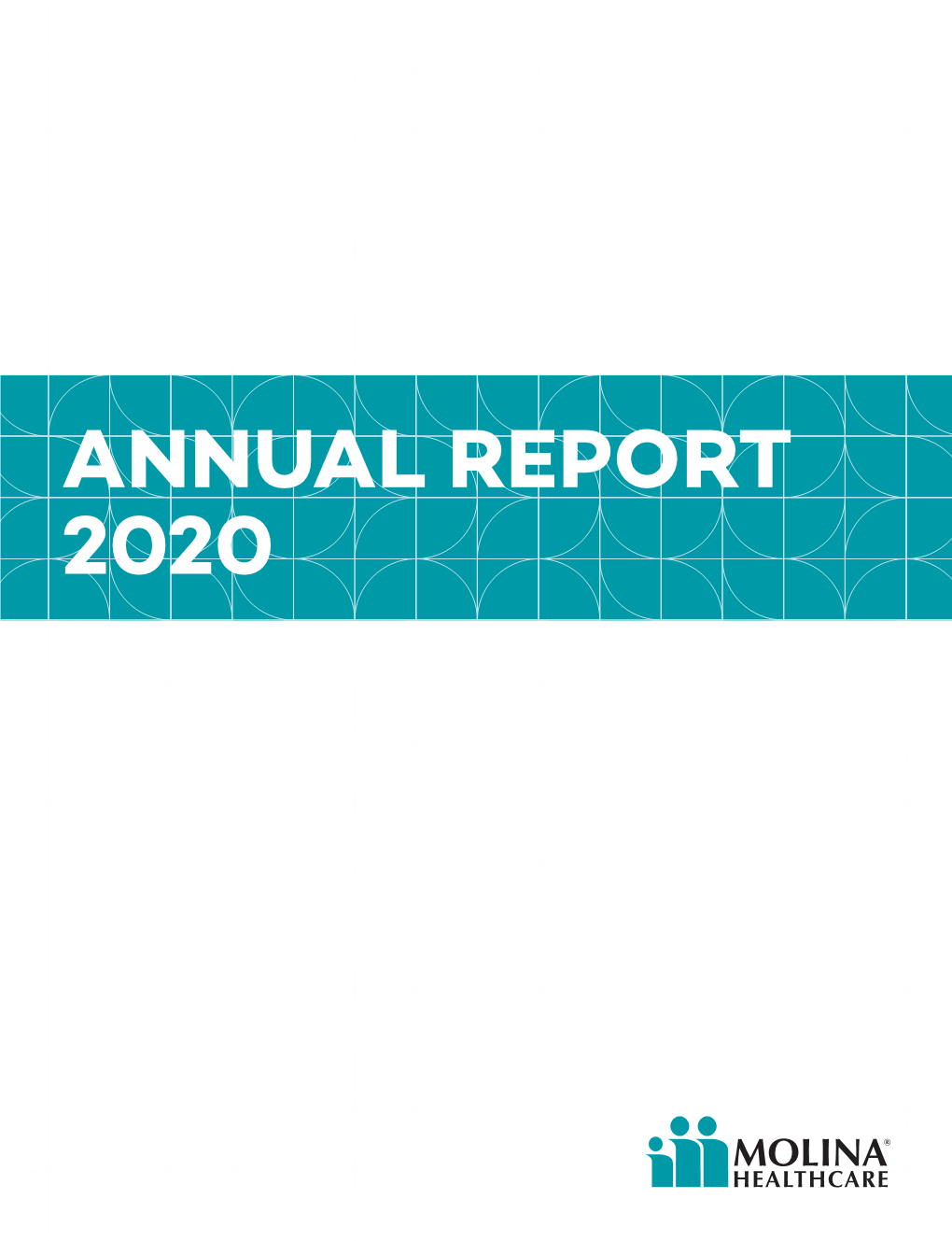 2020 Annual Report